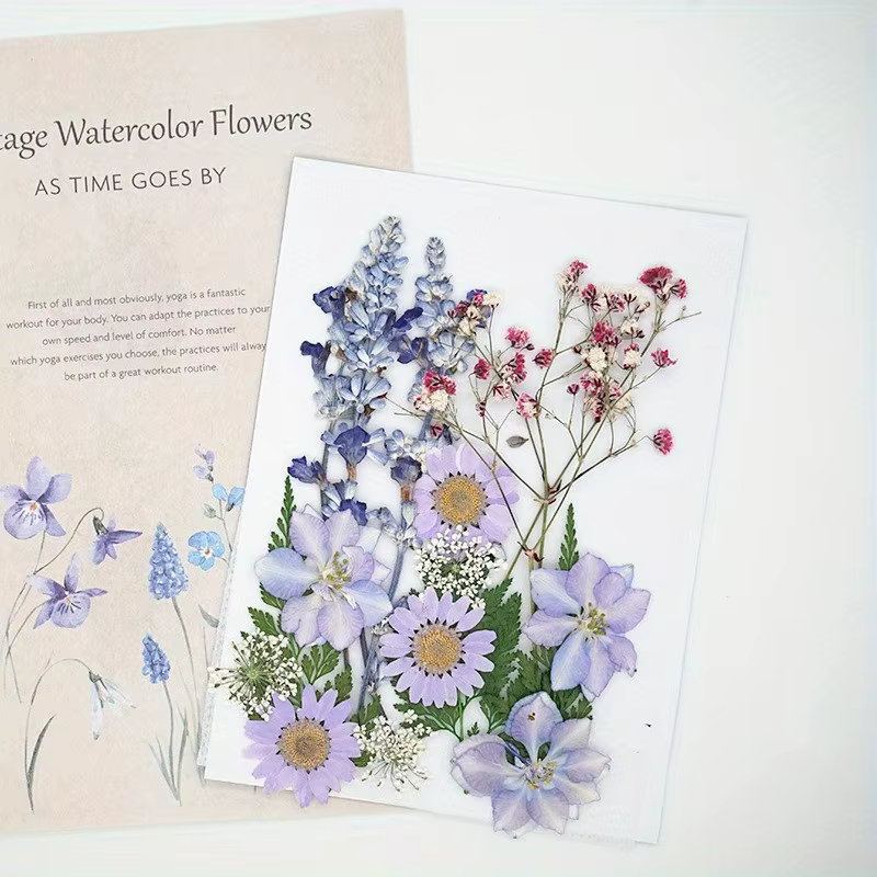 14 styles de fleurs séchées DIY, élégantes et magnifiques, fleurs artificielles de mignonnonneux, décoration créative simple de fleurs pressées