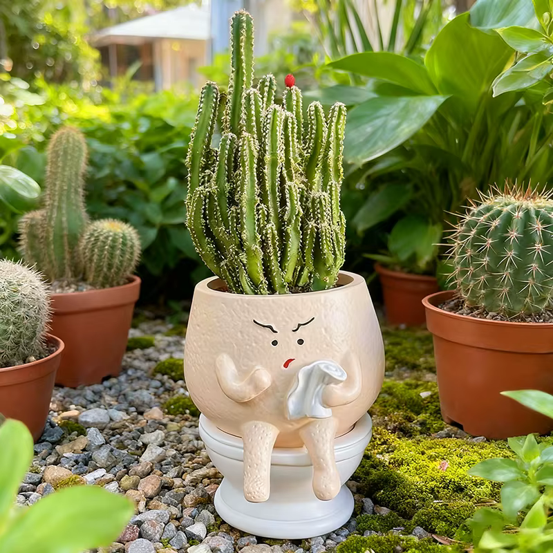 Pot de fleurs amusant en forme de toilette pour plantes succulentes