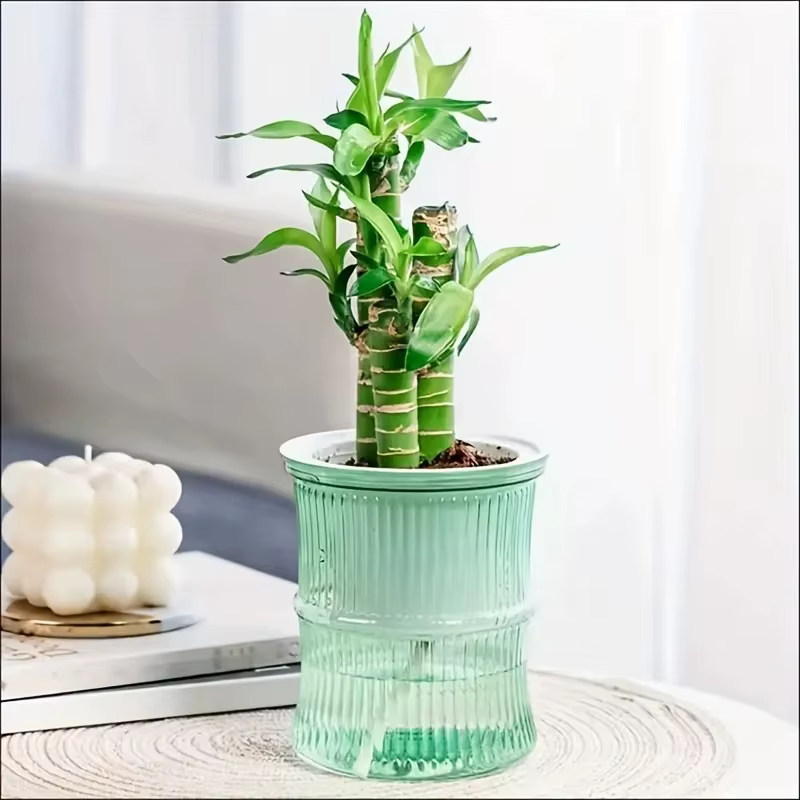 Pot de fleurs auto-arrosant transparent à double couche