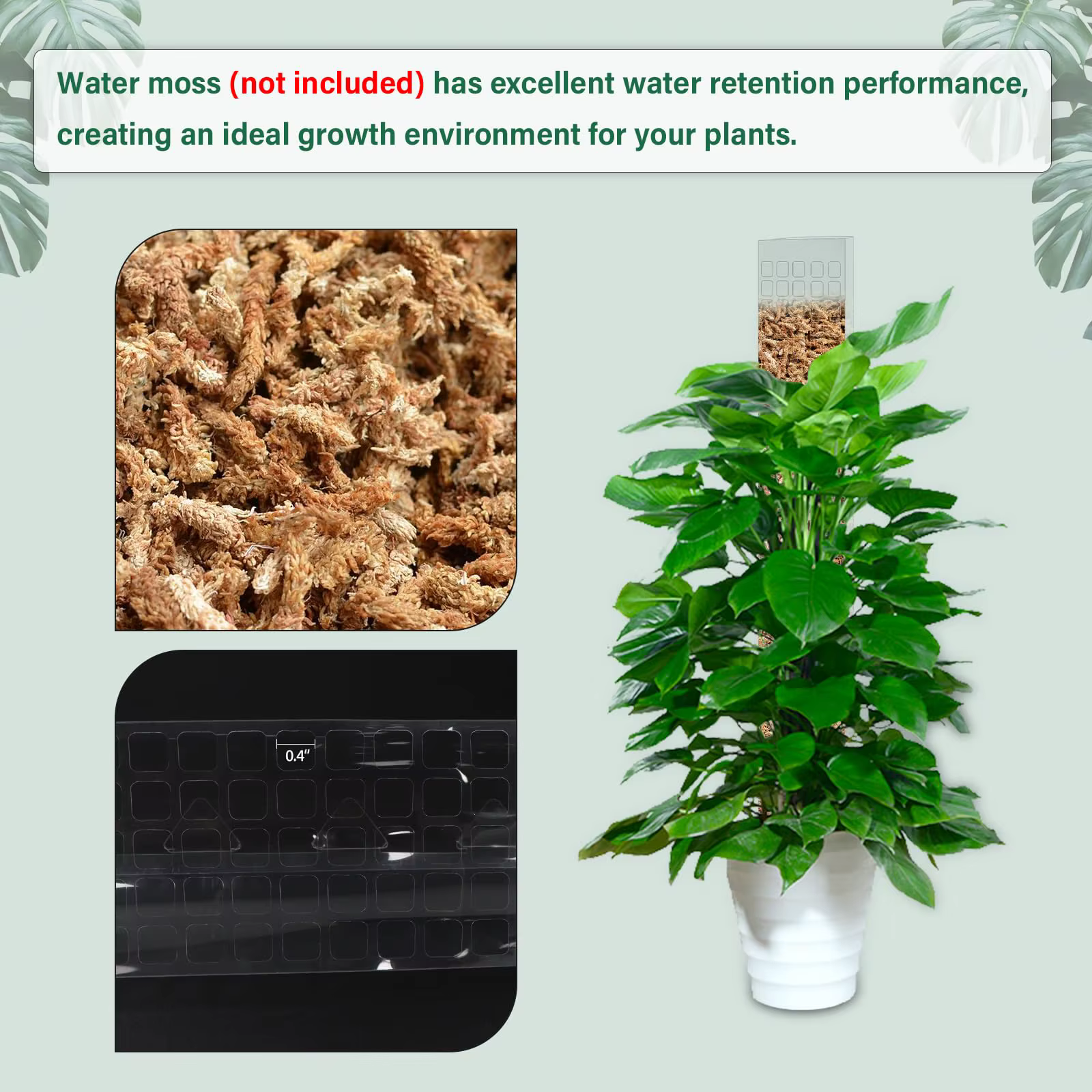 Support de Plantes en Plastique pour Plantes Grimpantes d'Intérieur