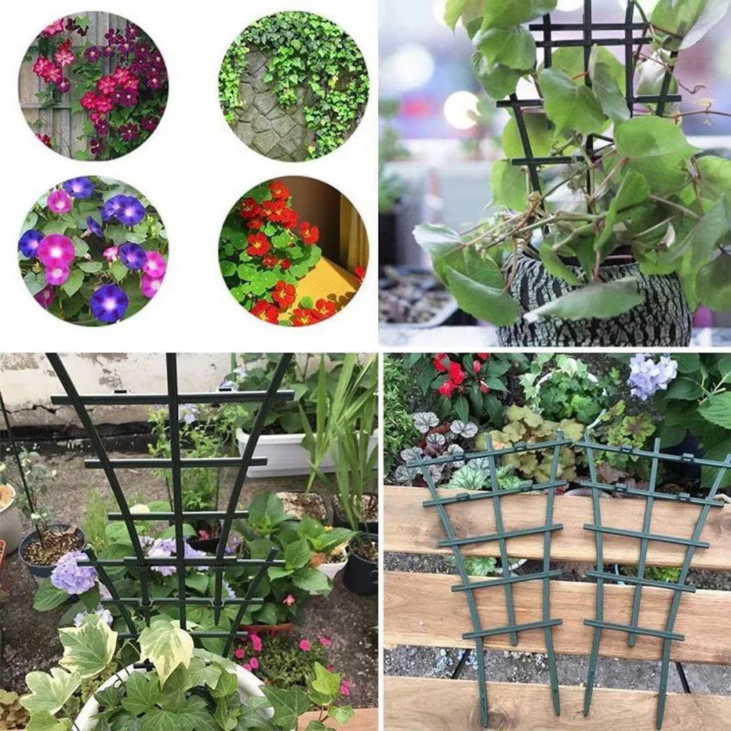 Cadre de support de plante en plastique pour jardin vert