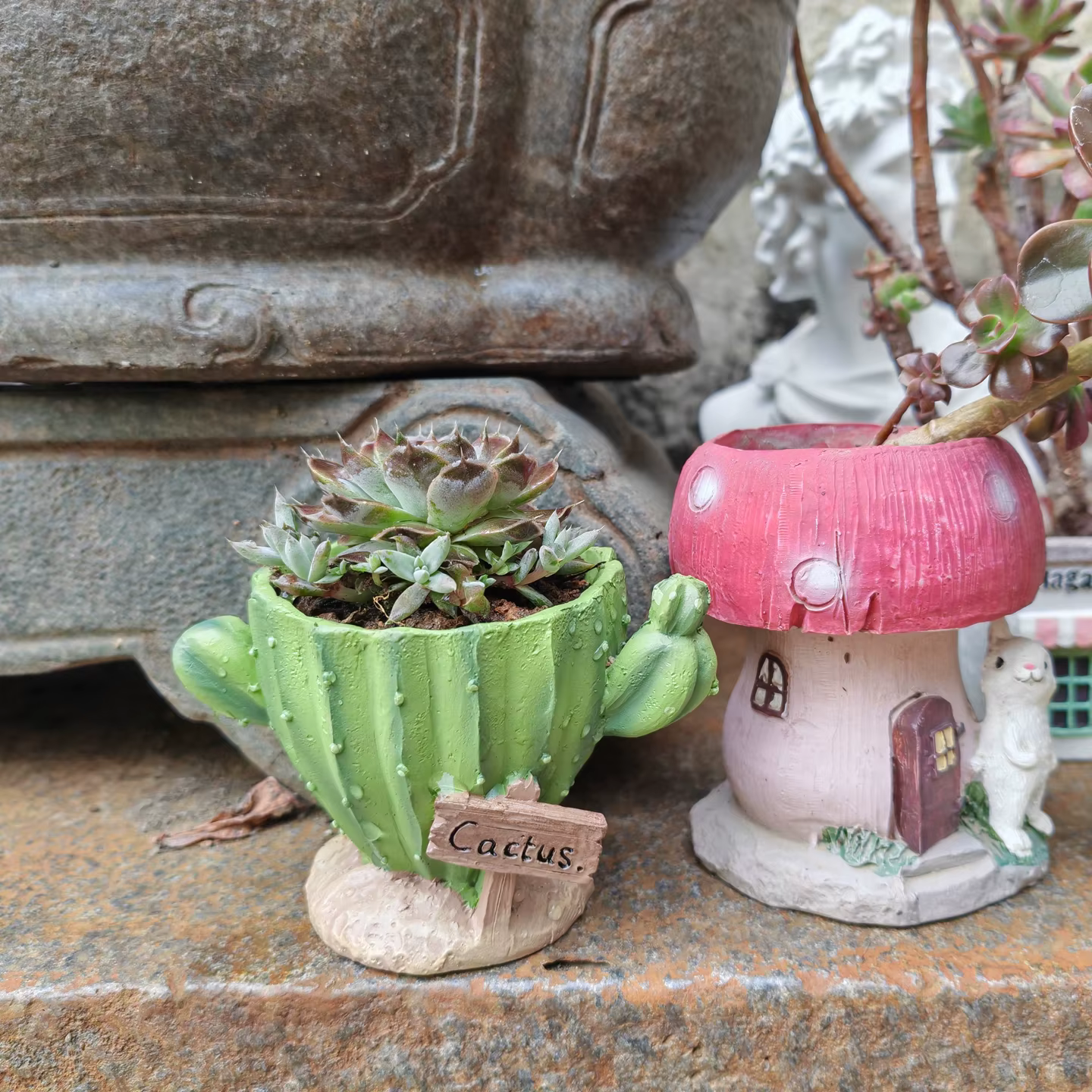 Pot de fleurs pour cactus