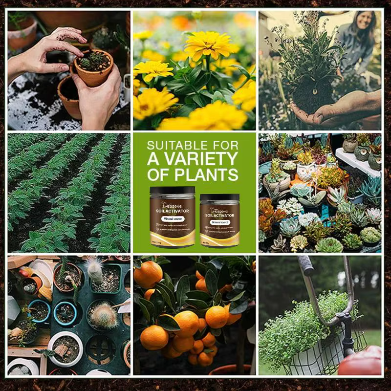 Activateur de sol, engrais pour plantes