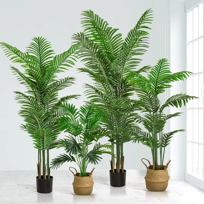 Simulation plante verte Areca