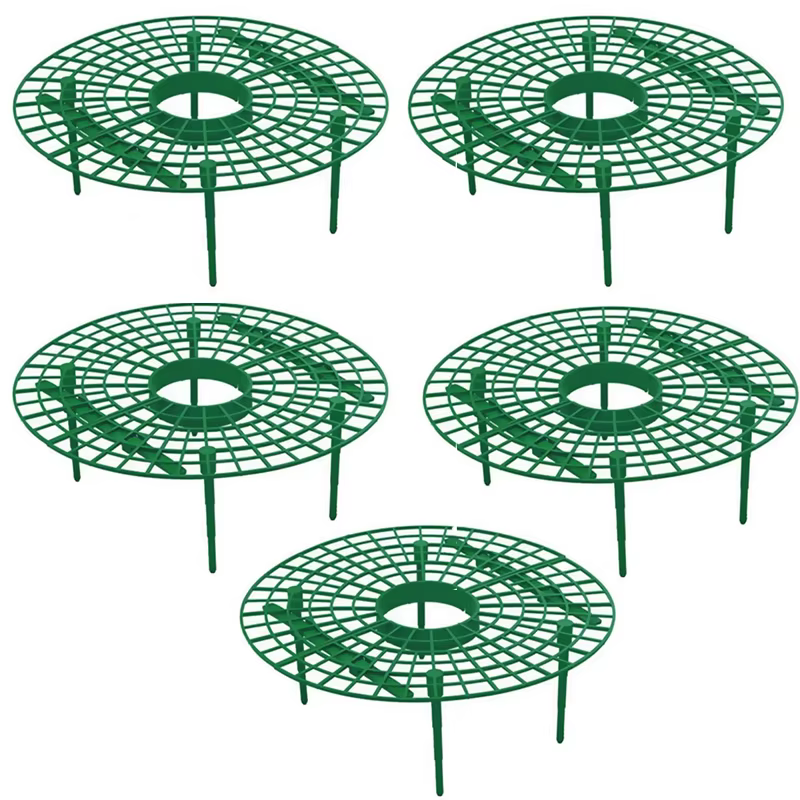 Supports de fraises pour conserver les plantes et les fruits