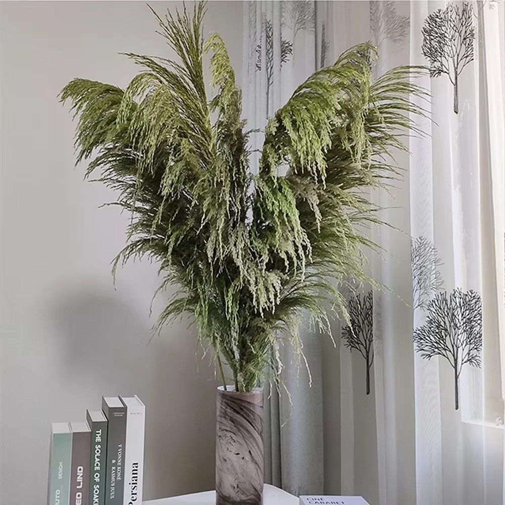 Grande herbe de Pampas naturelle de 80cm