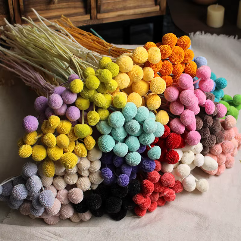 Bouquet de fleurs sèches en boule dorée