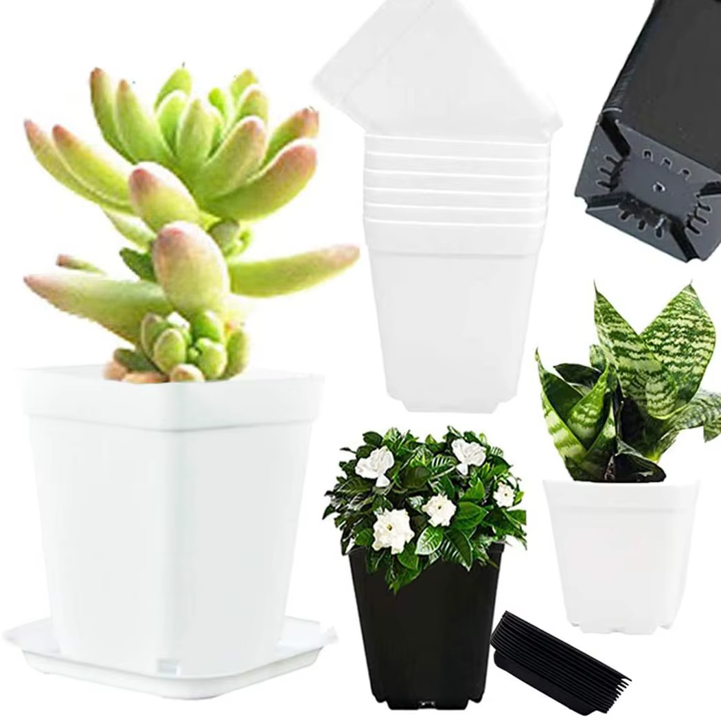 20 pièces Mini bassin carré Pot de fleur coloré plantes succulentes plateaux décor de bureau à domicile bricolage