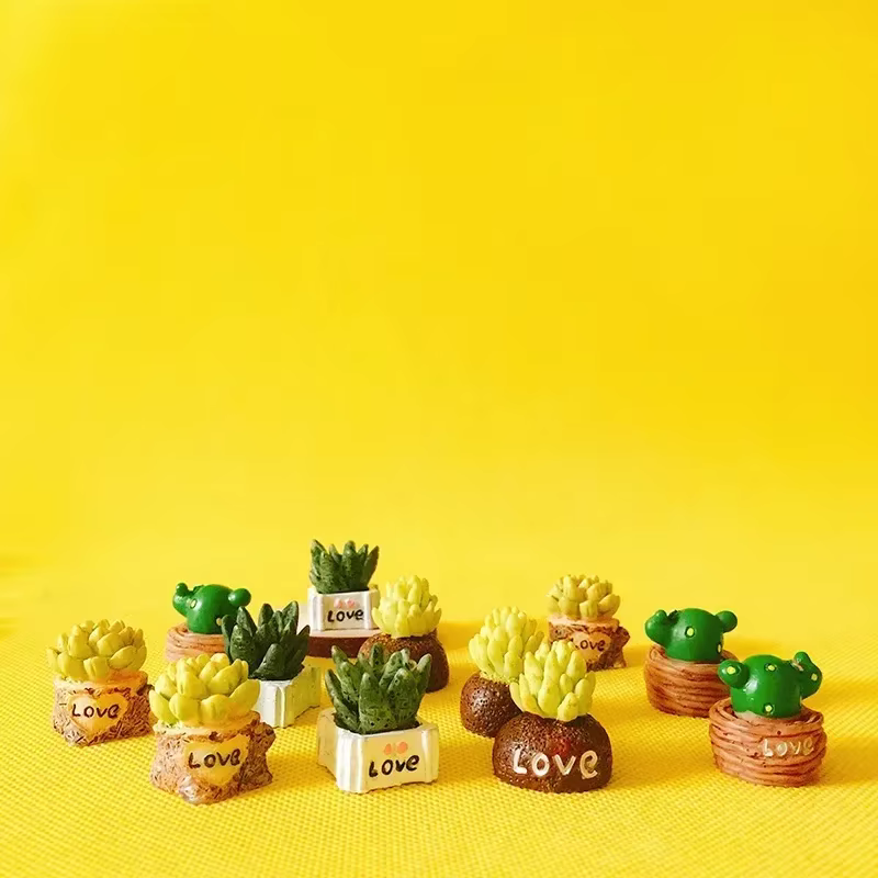 Plantes succulentes en résine