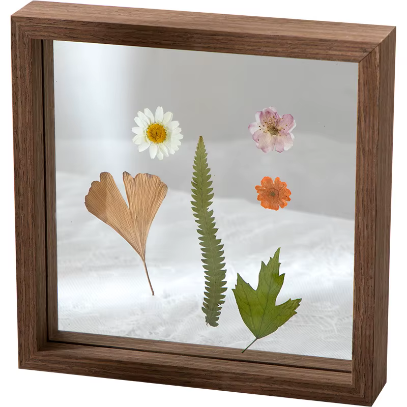 Boîte à spécimen de feuilles de fleurs séchées de style européen