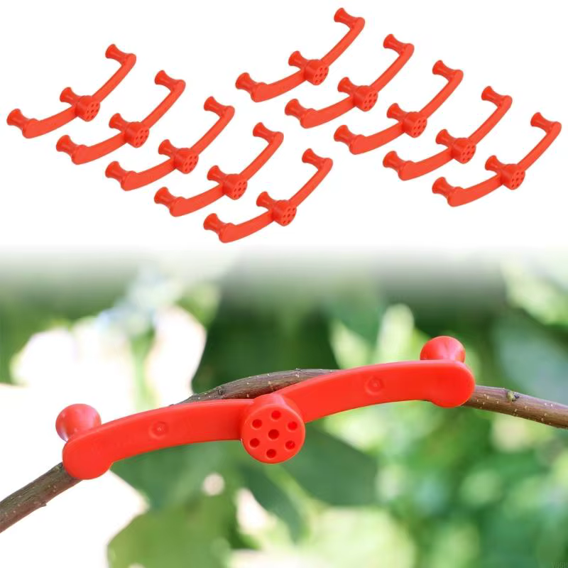 Clip d'entraînement pour plantes