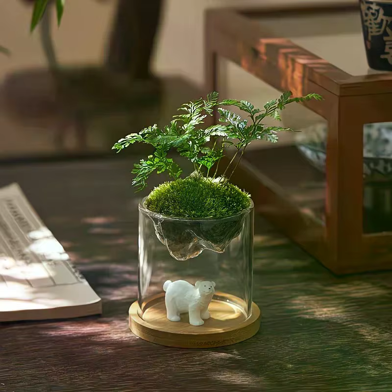 Terrarium en verre pour vues sur les montagnes
