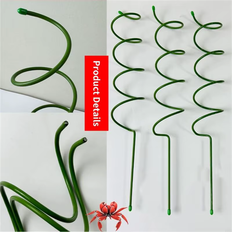 Support réutilisable pour plantes grimpantes