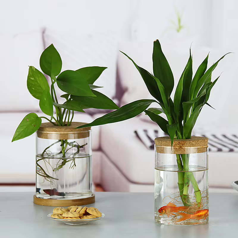 Pot de fleurs hydroponique transparent imitation verre