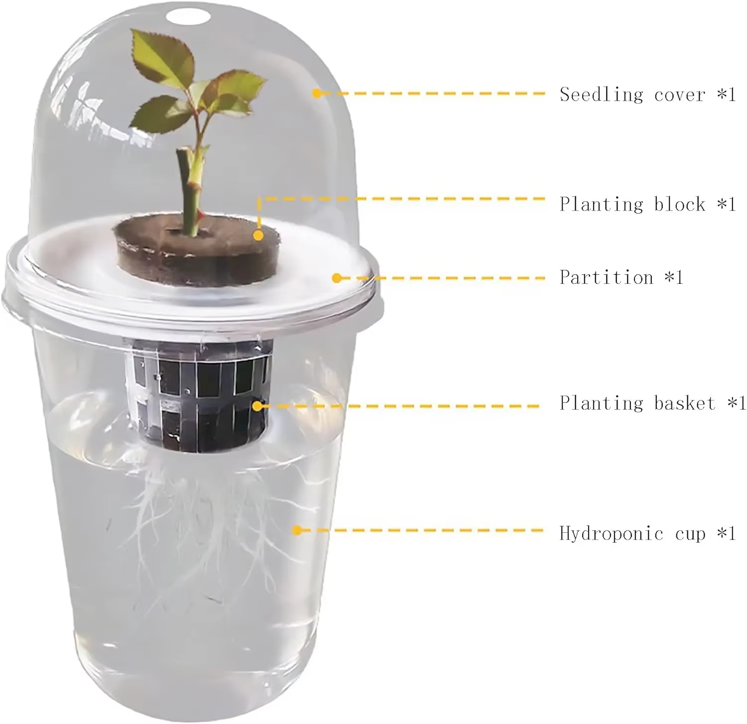 Pot hydroponique cylindrique Transparent en plastique