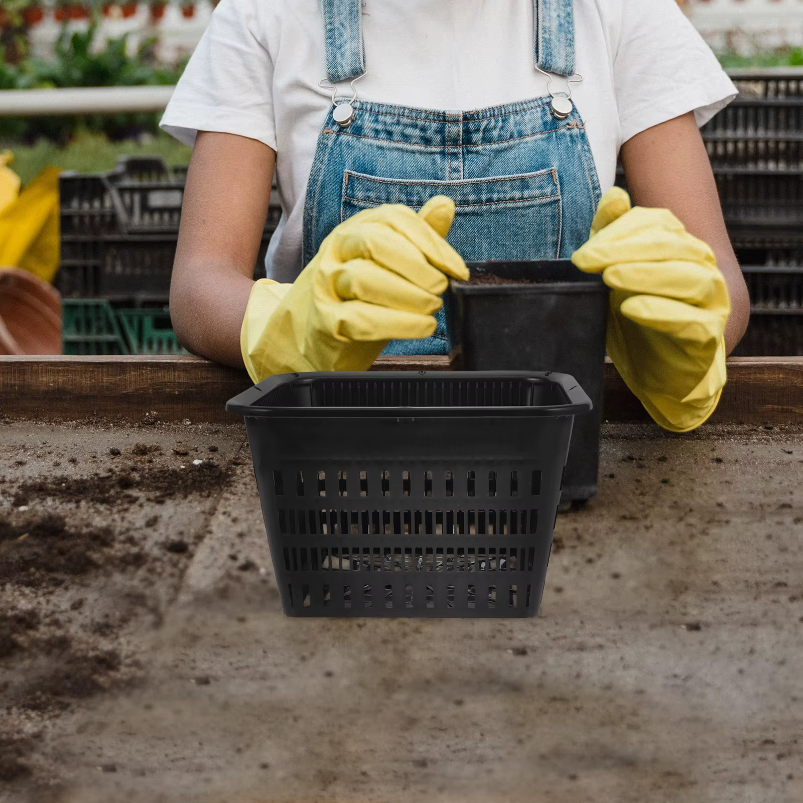 Mir pour plantes hydroponiques Lauren