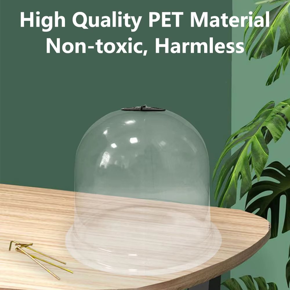 Cloche de protection des plantes réutilisable en plastique transparent
