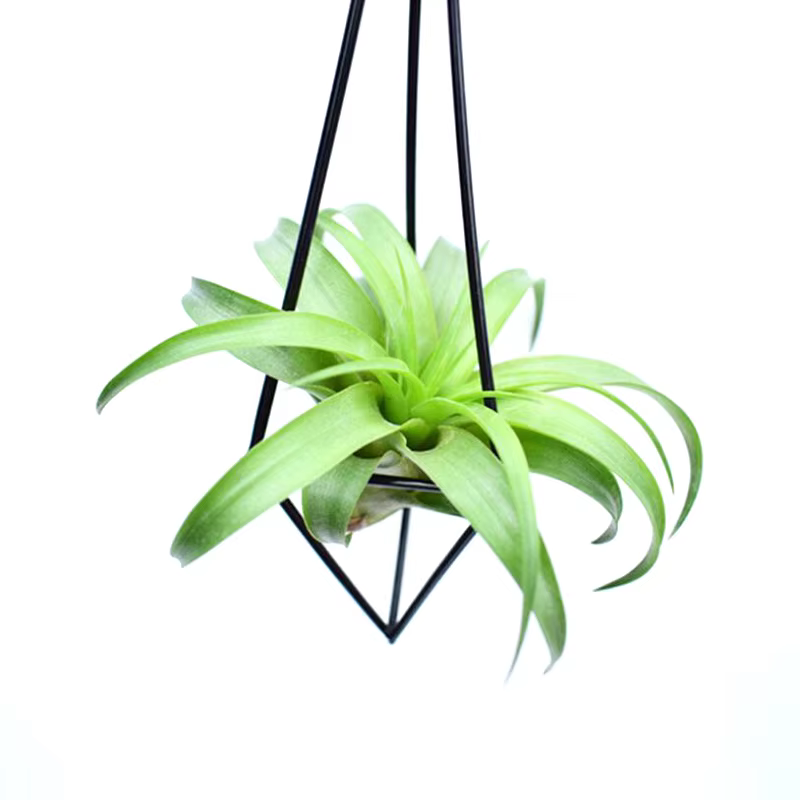 Porte-plante à air géométrique