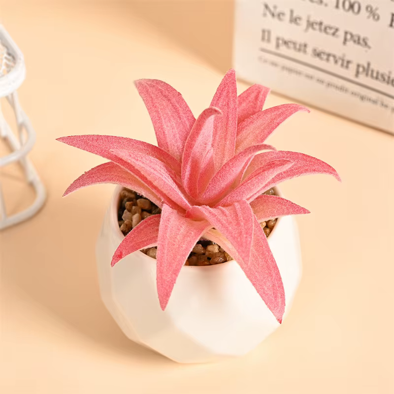 Ensemble de Mini plantes succulentes artificielles