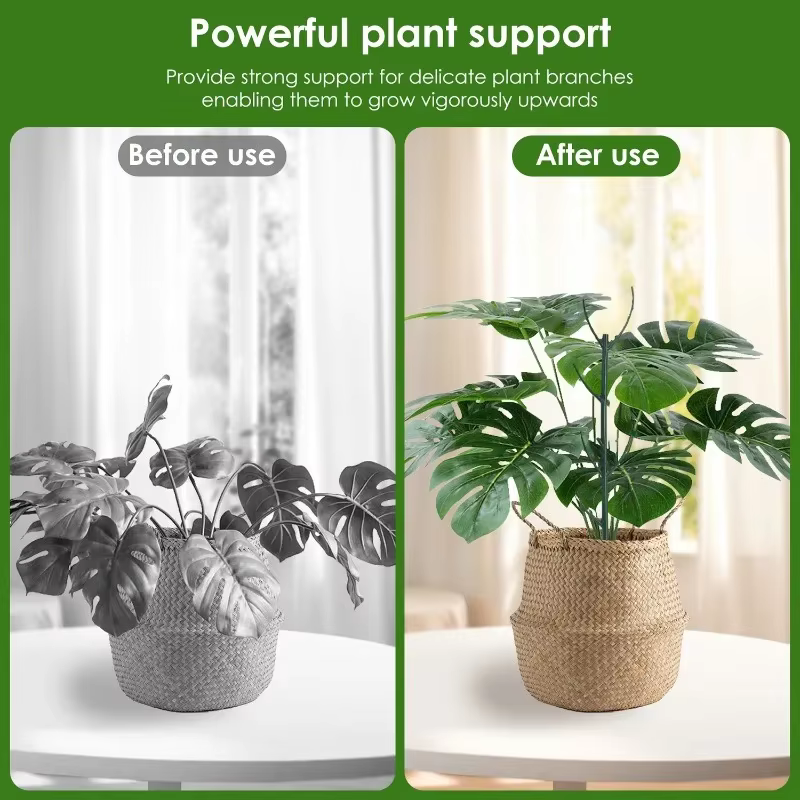 Piquet de Support pour plantes grimpantes
