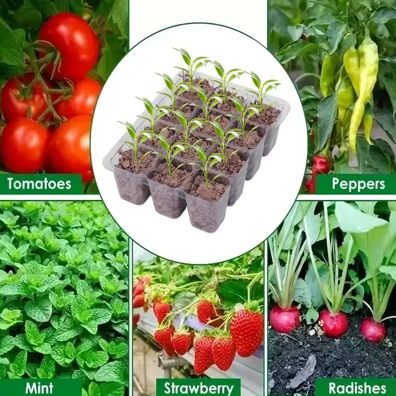 Plateau de culture de plantes
