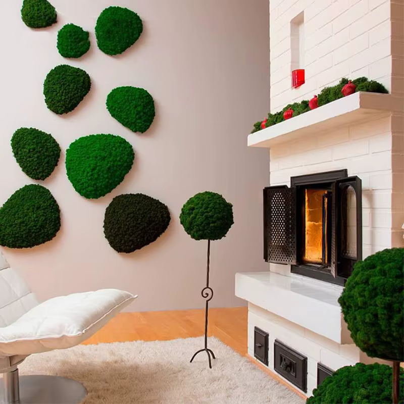 Nouveau 1000g plantes artificielles vie éternelle mousse/jardin décor à la maison mur bricolage fleur matériel Mini jardin Micro paysage faux mousse