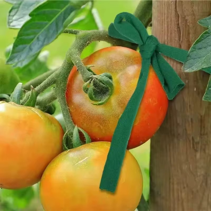 1 rouleau de ficelle de jardin