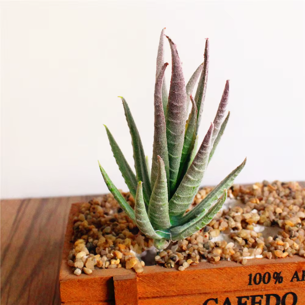 Vert rose jaune zèbre Aloe plantes succulentes artificielles maison jardin décoration bricolage