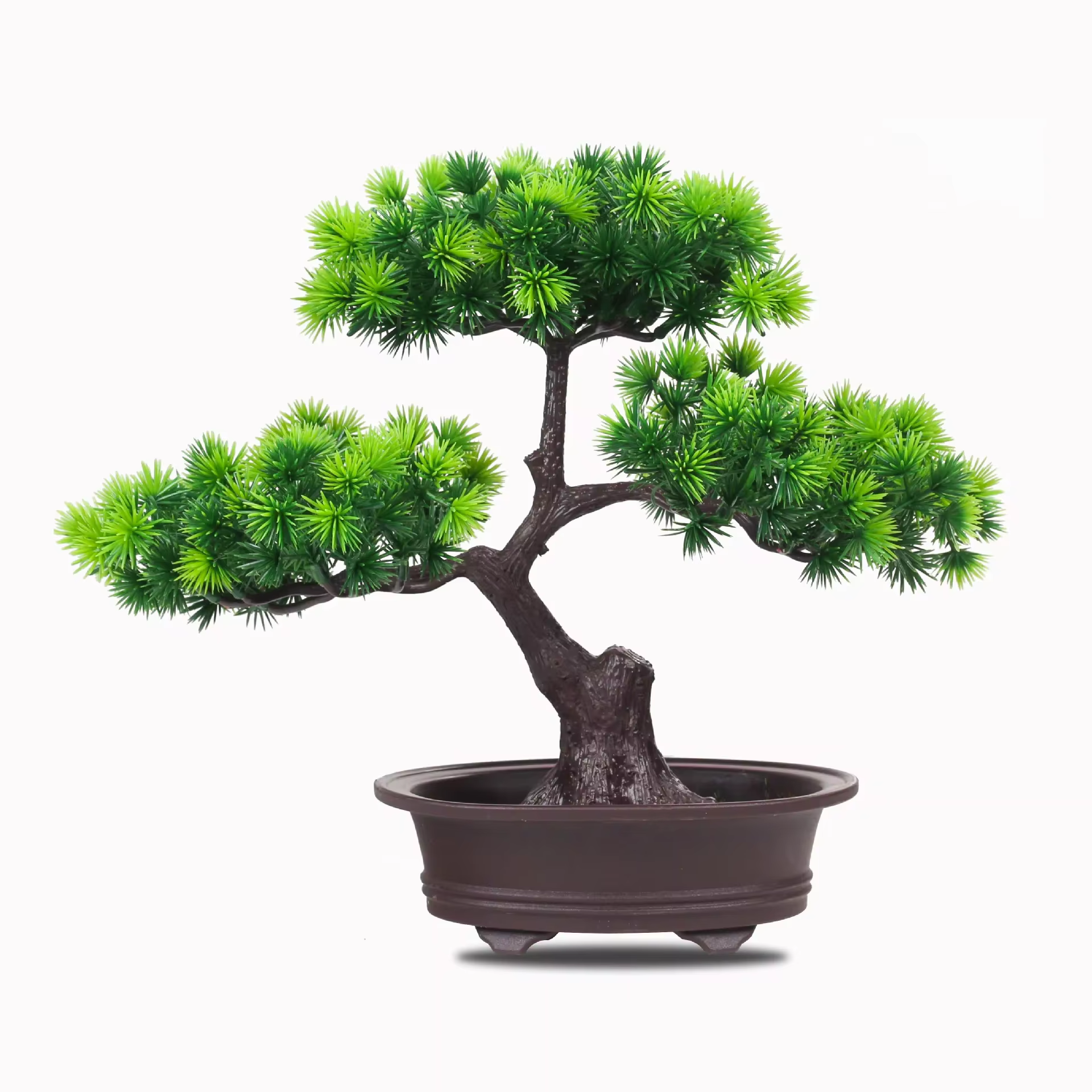 Plantes artificielles enrichies bonsaï