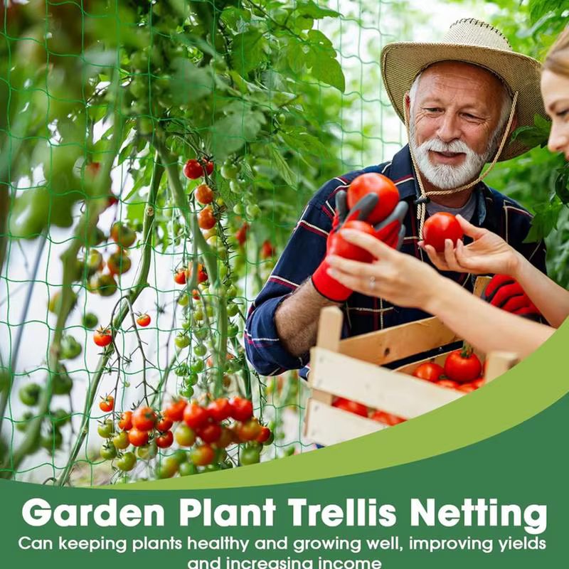 Filet en treillis pour plantes grimpantes