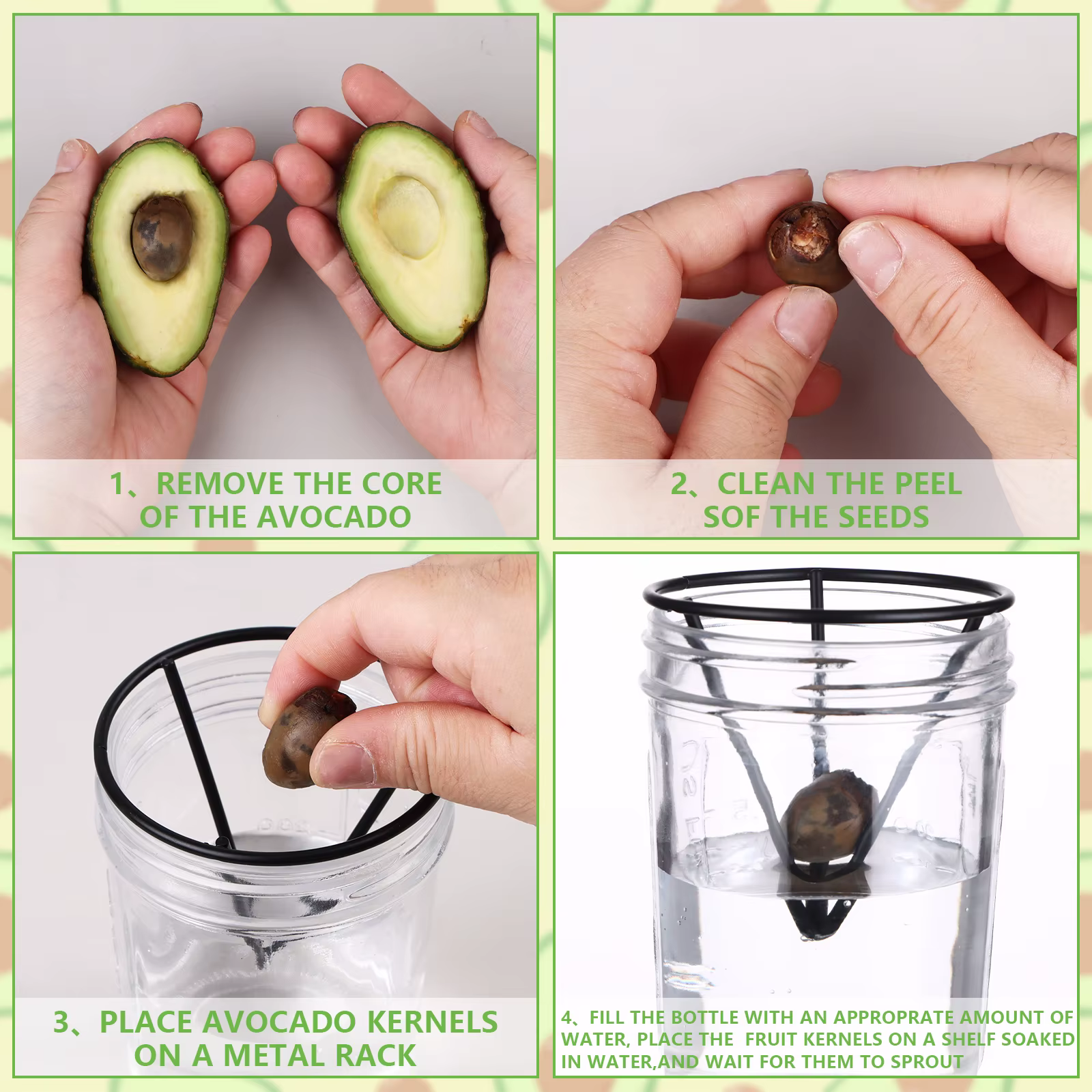 Germinateur d'avocat avec supports en métal conique