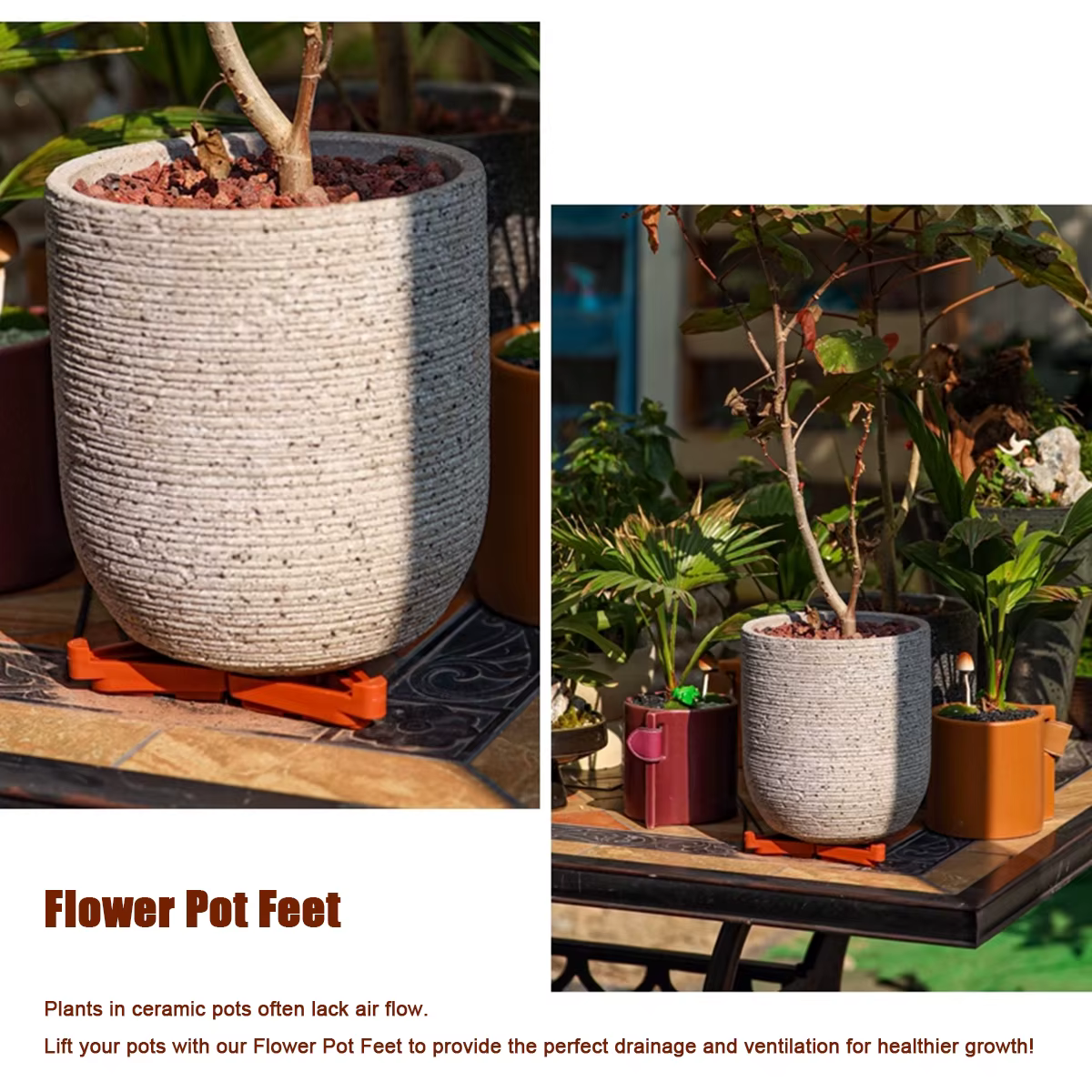 Pieds de Pot de plantes