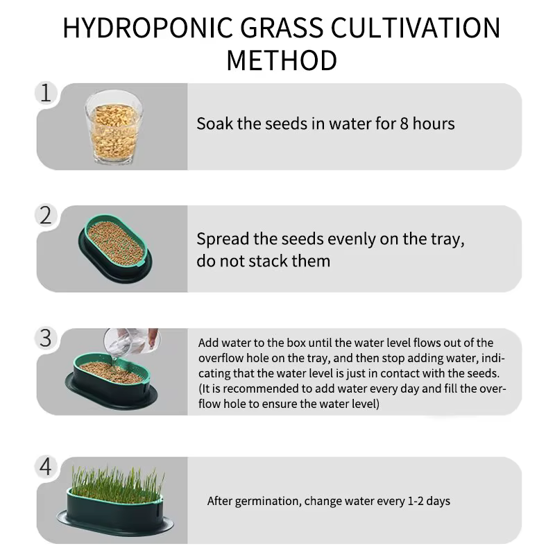 Nouveau plat de germination de chat de compagnie Pot de culture plante hydroponique