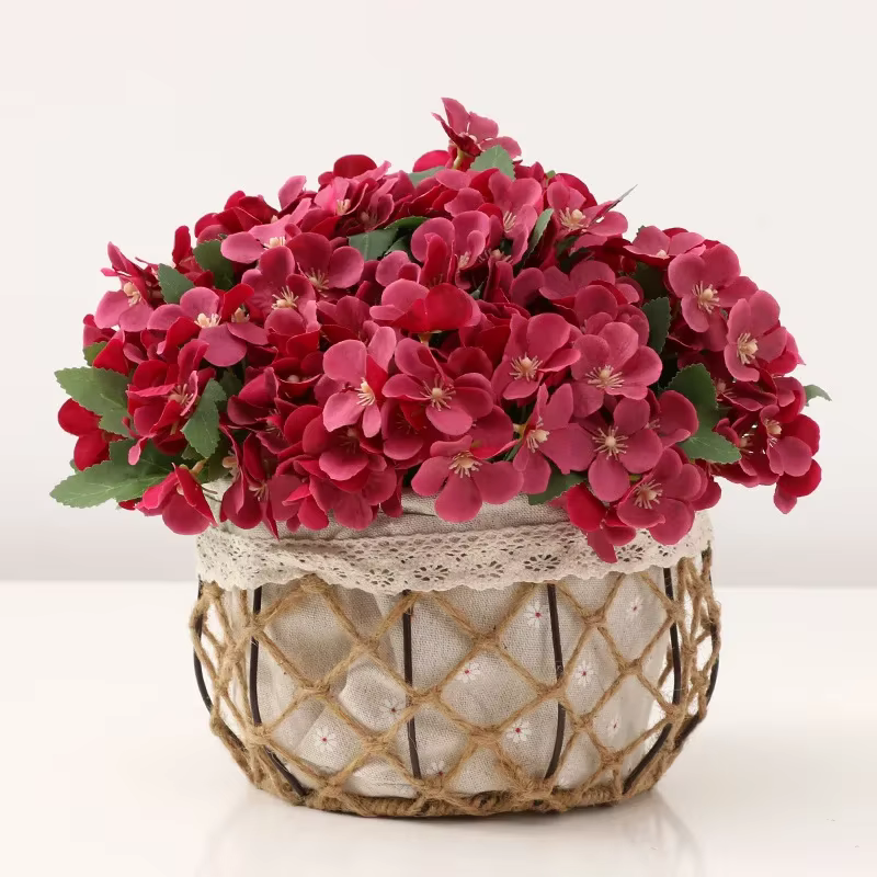 Bégonia fleur fleur sèche gaufrage plante spécimen fleurs séchées gaufrage botanique spécimen bricolage manuel décoration pétale bougies