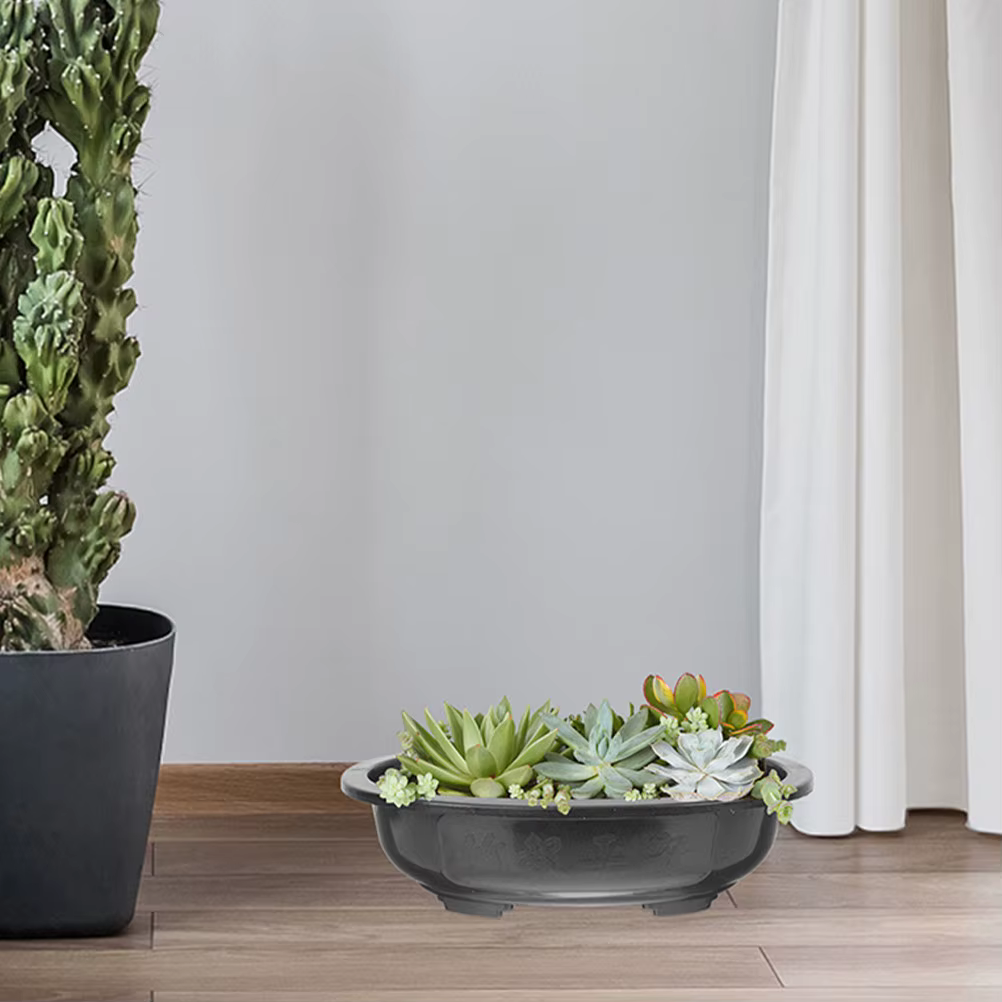 Lot de 2 grands pots ovales pour fleurs et bonsaïs