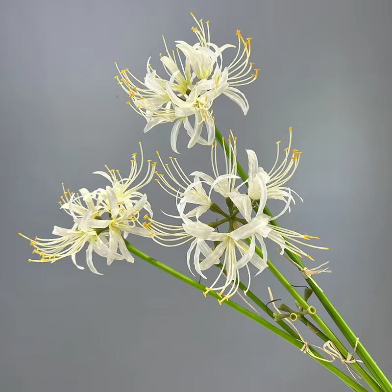 Simulation de fleurs de rivage artificielles