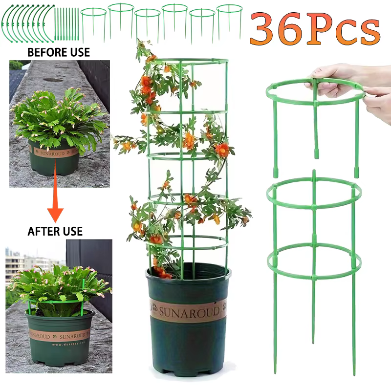 Piquets de Support pour plantes