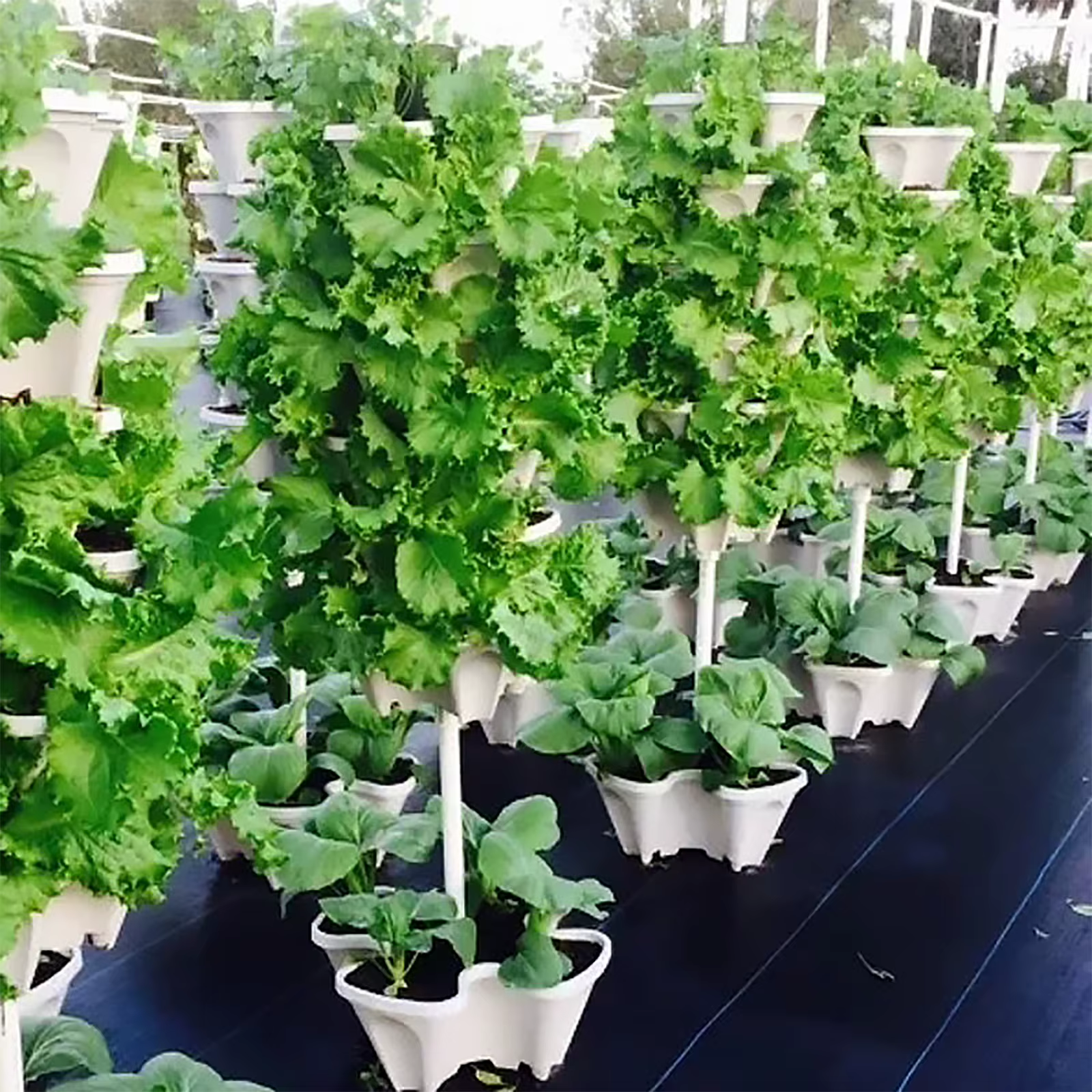 Jardinières verticales empilables pour la plantation de fraises dans le jardin