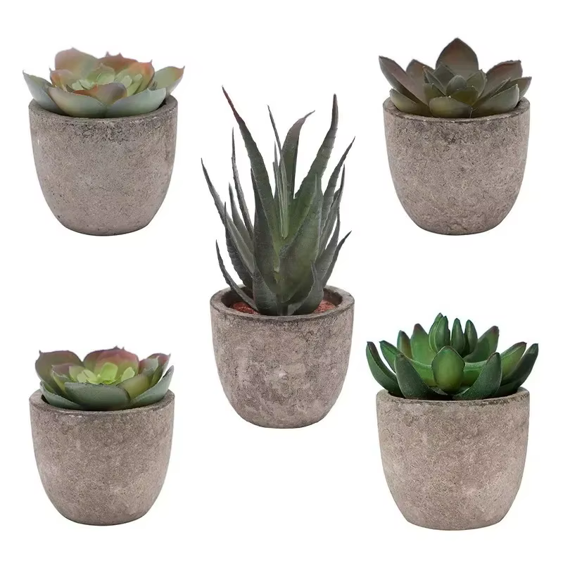 Mini plantes artificielles à l'aloe vera