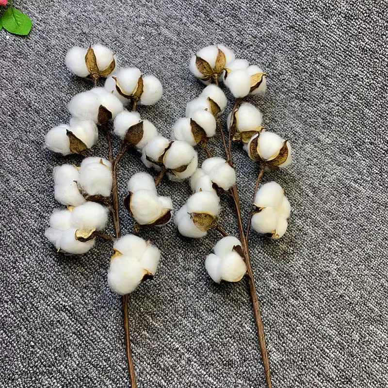 Fleurs artificielles en coton séché