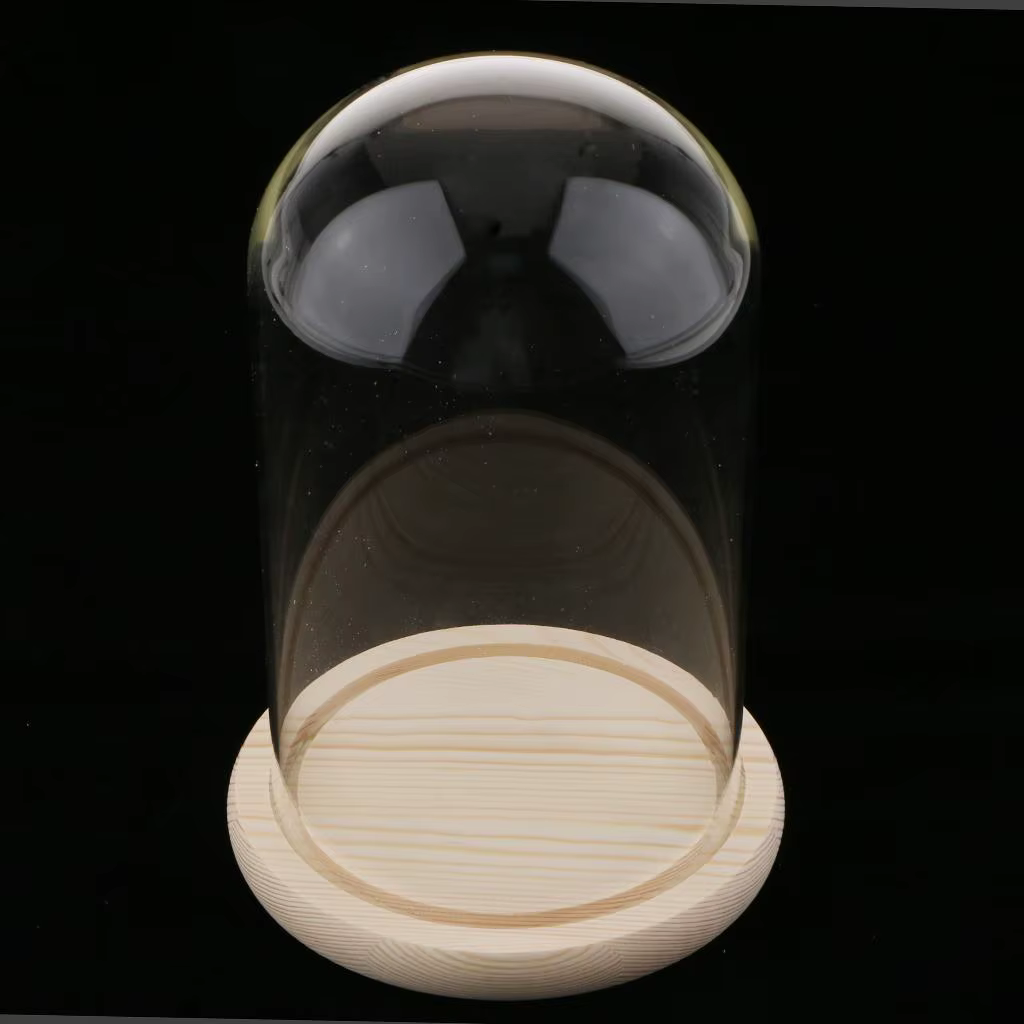 Pot en verre dôme avec Base en bois