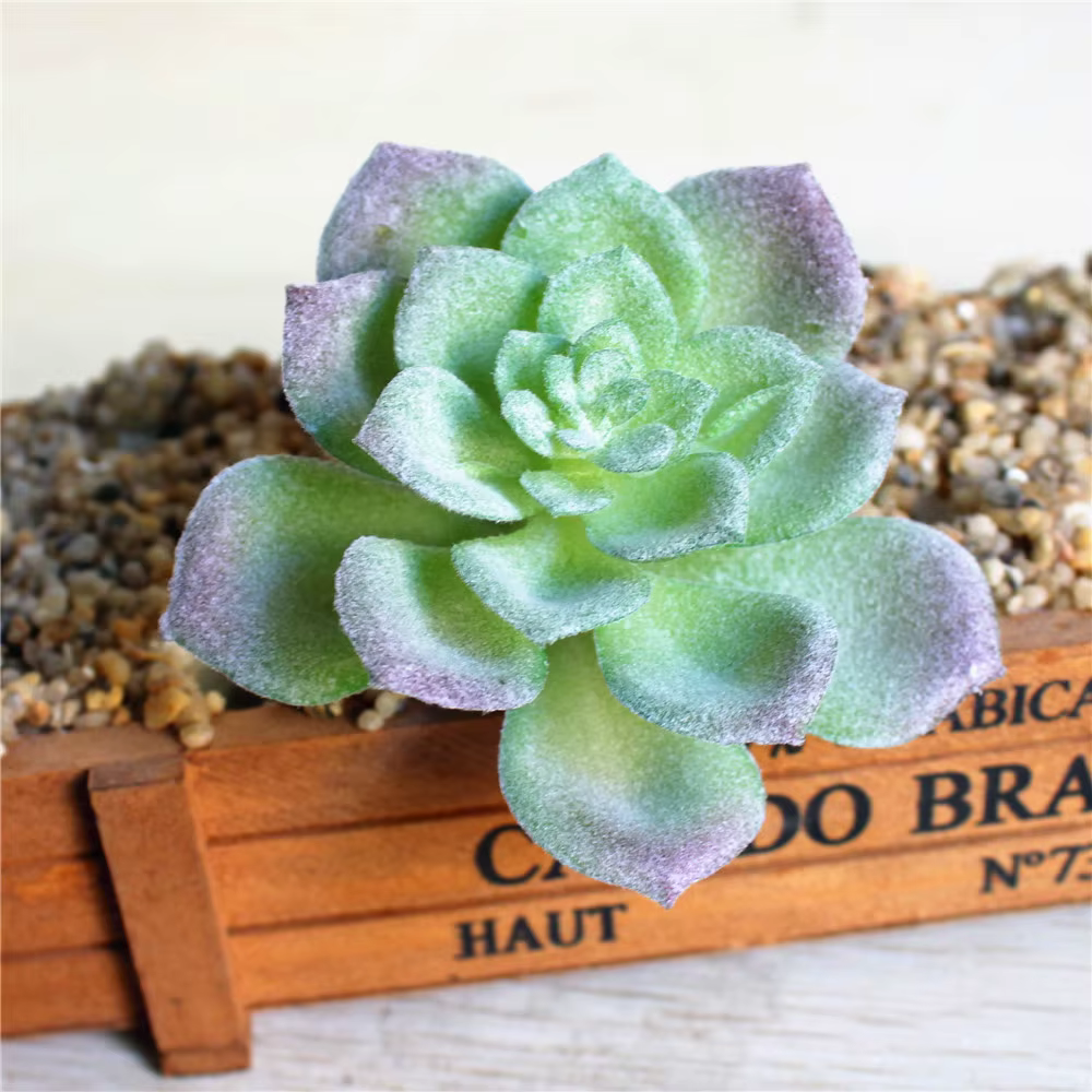Plantes vertes succulentes artificielles