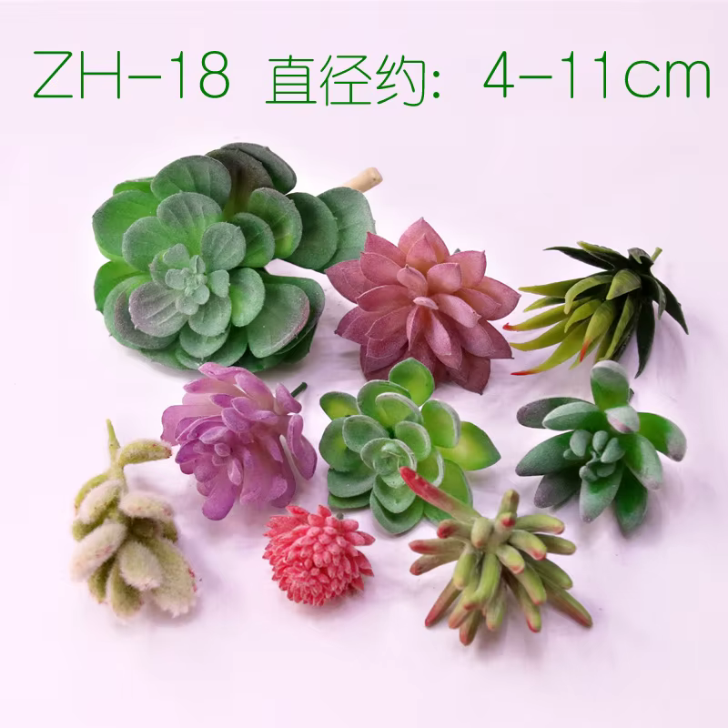 Plantes succulentes artificielles