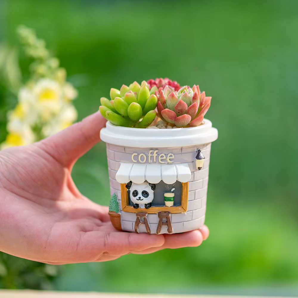 Pots à plantes succulentes en résine de style street food créatif