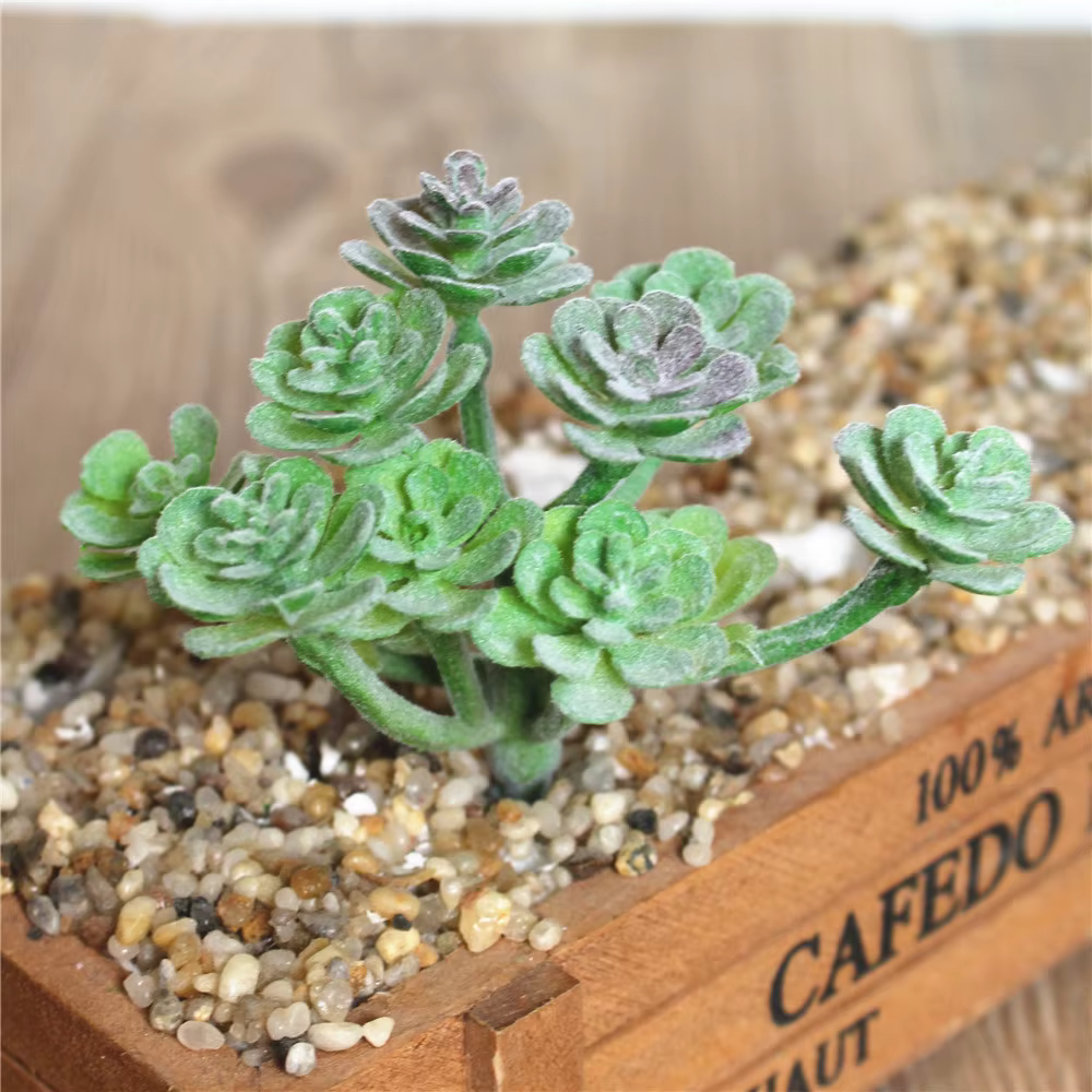 Plantes vertes succulentes artificielles
