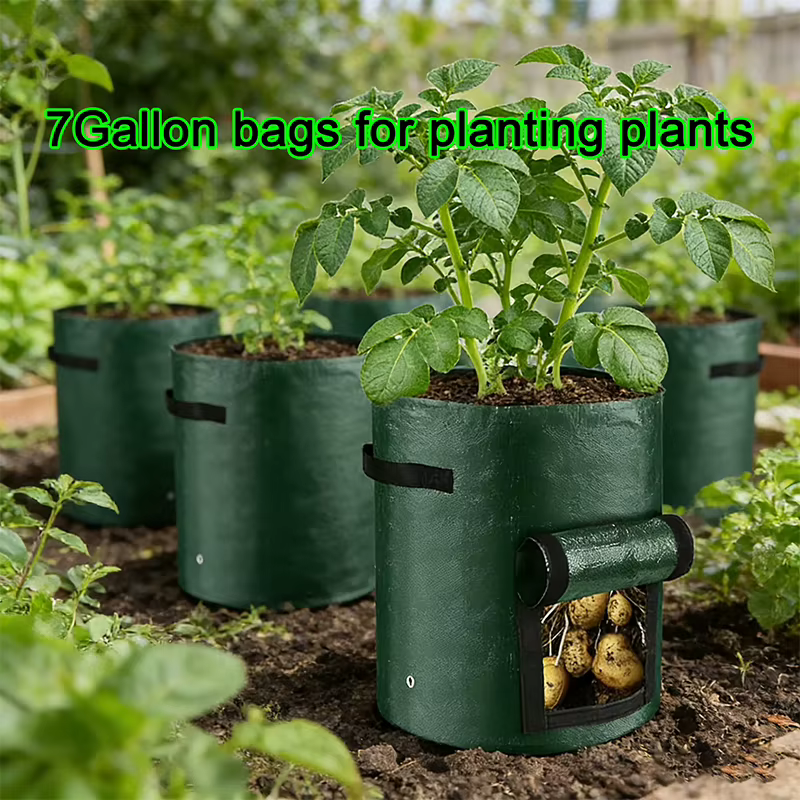 Sac de culture rond en PE vert foncé respirant pour plantes