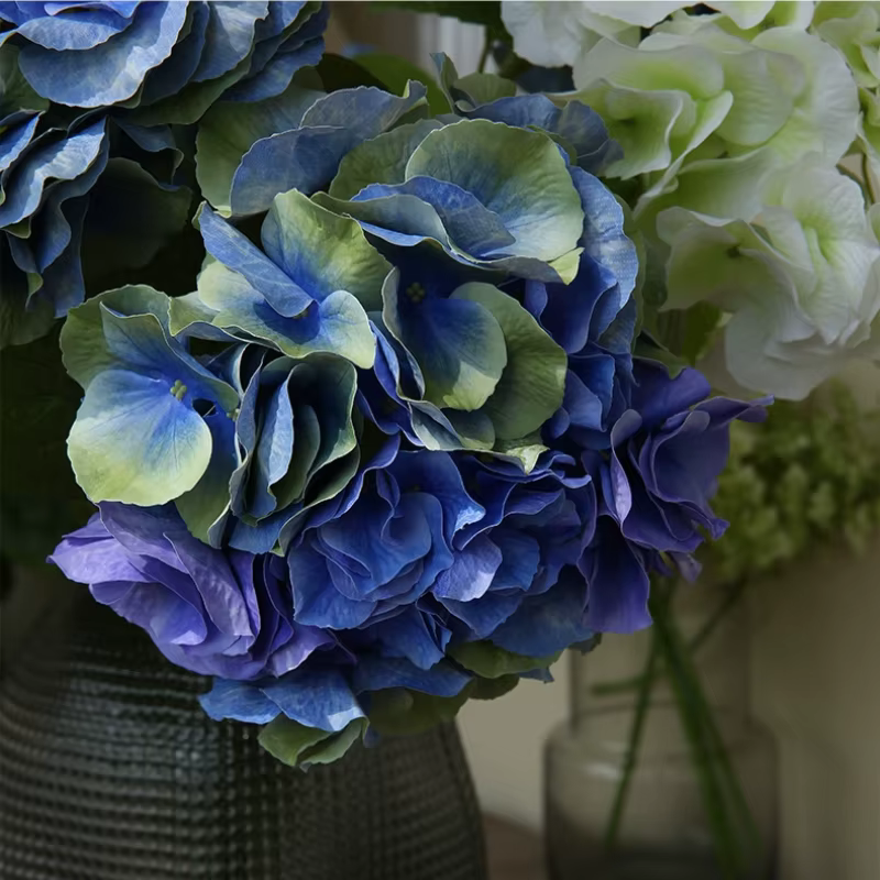 Grandes fleurs d'hortensia hydratantes au toucher