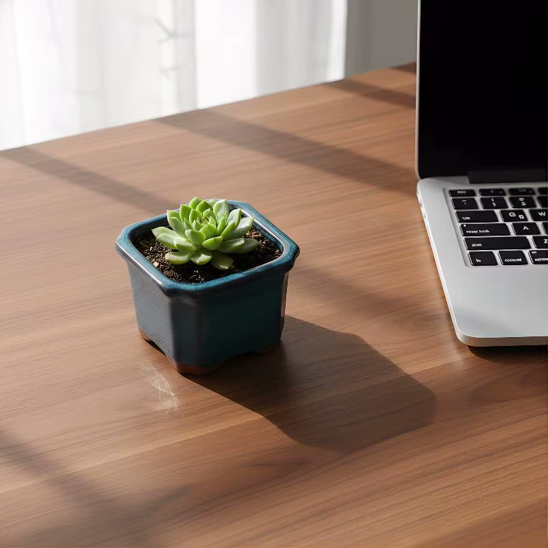 Pots de plantes en céramique