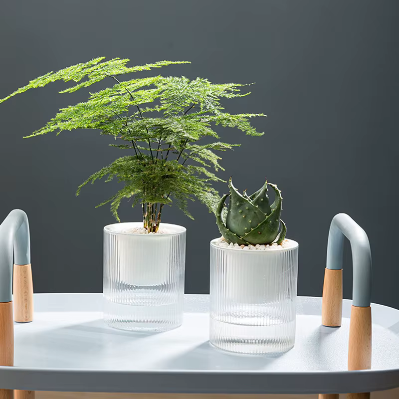 Pot de fleurs auto-arrosage pour plantes hydroponiques succulentes d'intérieur
