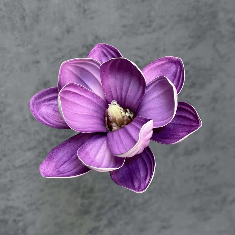 Artificia 20 pièces/lot EVA Magnolia grande fleur tête 13/18CM Dia
